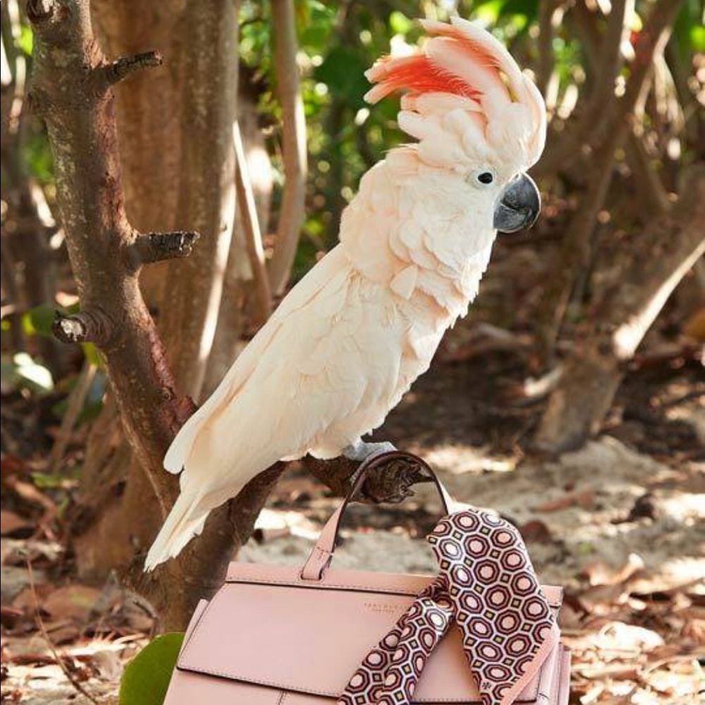 Meet your Posher, Janet